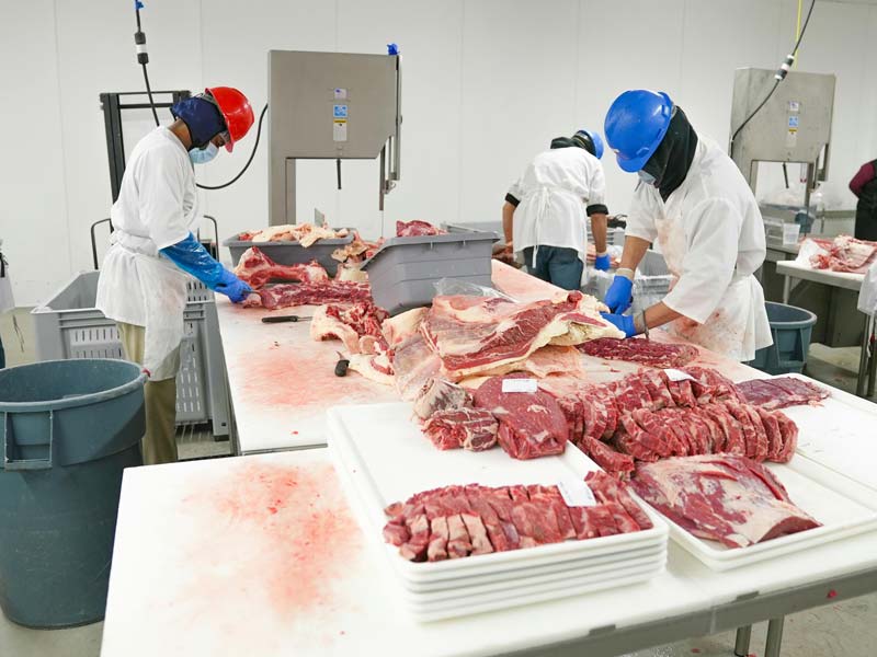 88体育app官网版